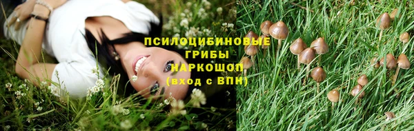 каннабис Богородицк
